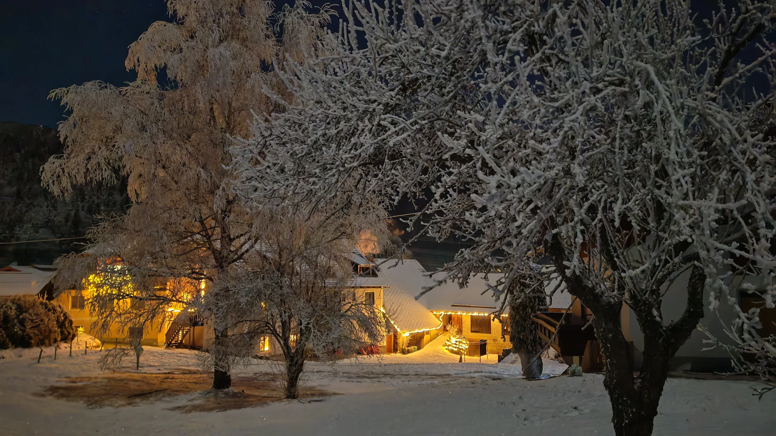 Haus Nampolach am Winterabend, die Fenster warm erleuchtet, davor mächtige raureifbedeckte Bäume unter dem Sternenhimmel