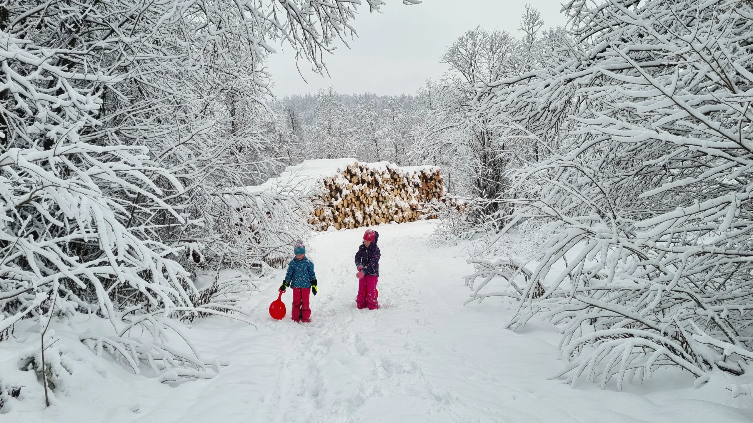 Kinder ziehen einen Schlitten durch den verschneiten Wald