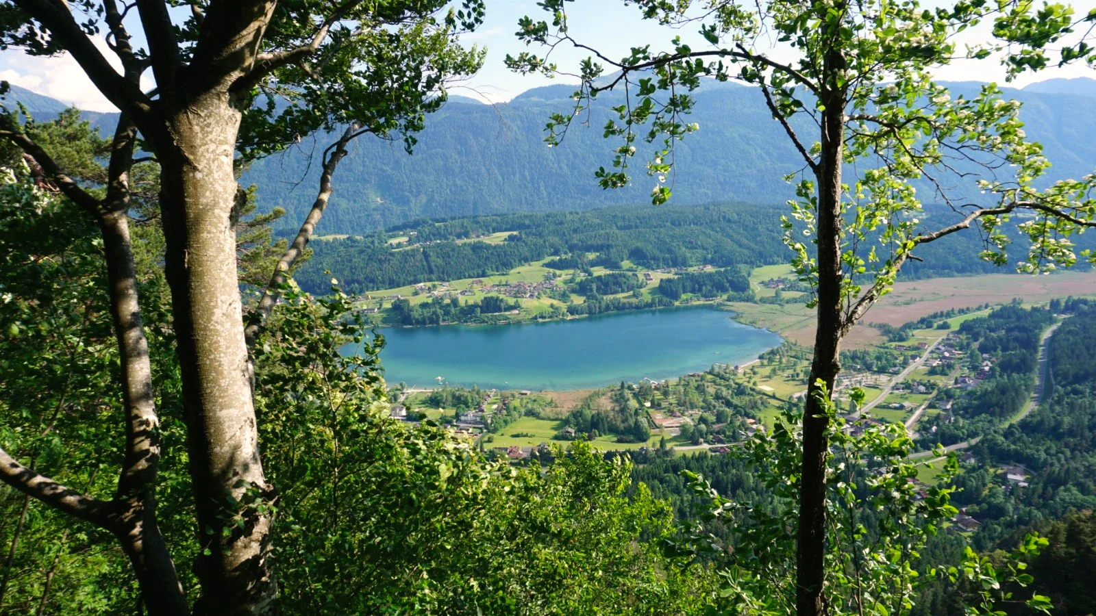 Der Pressegger See, vom Waldrand aus zwischen zwei Baumstämmen hindurch gesehen