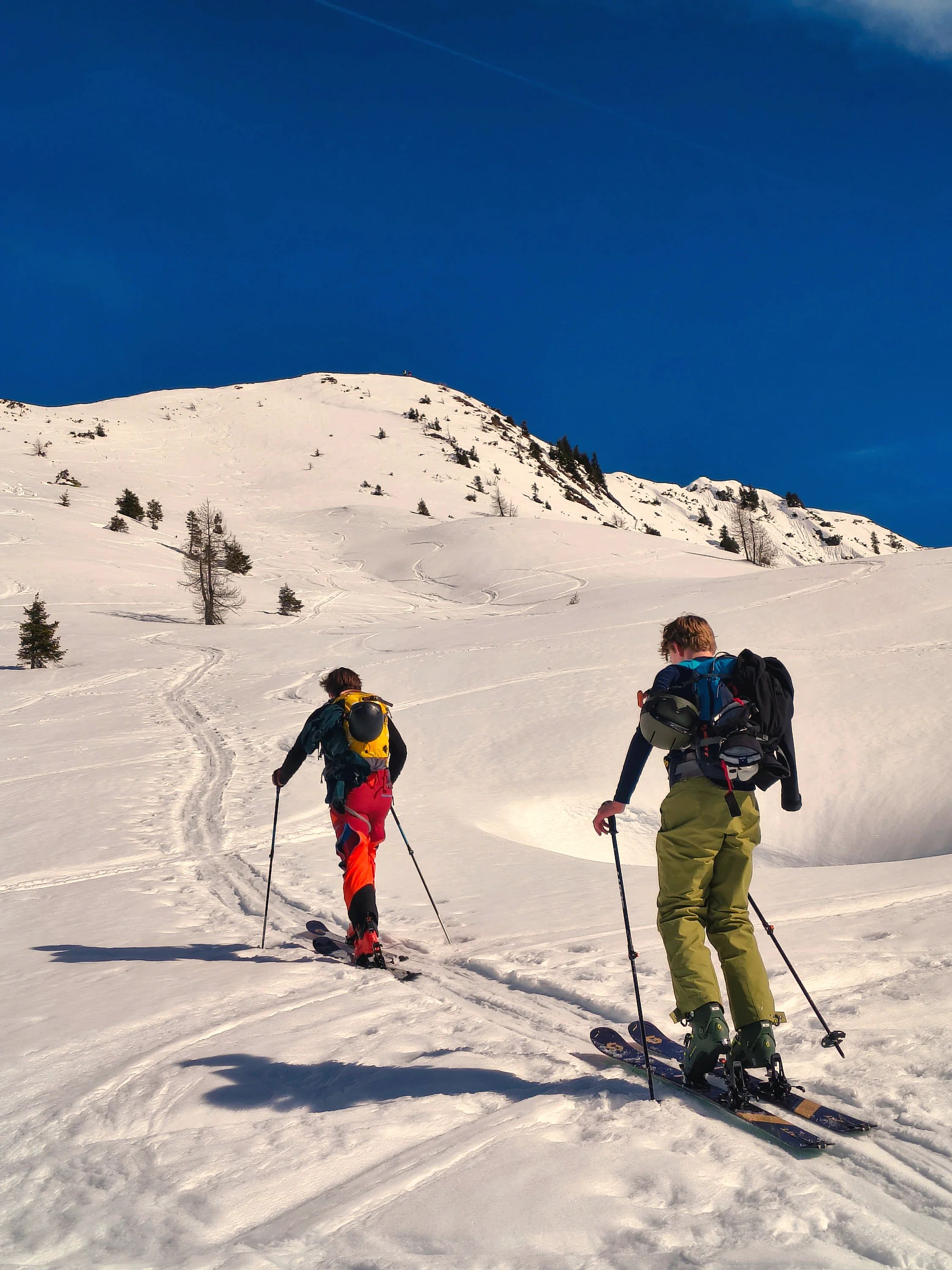 Zwei Skitourengeher steigen in der Morgensonne über einen unverspurten Hang auf