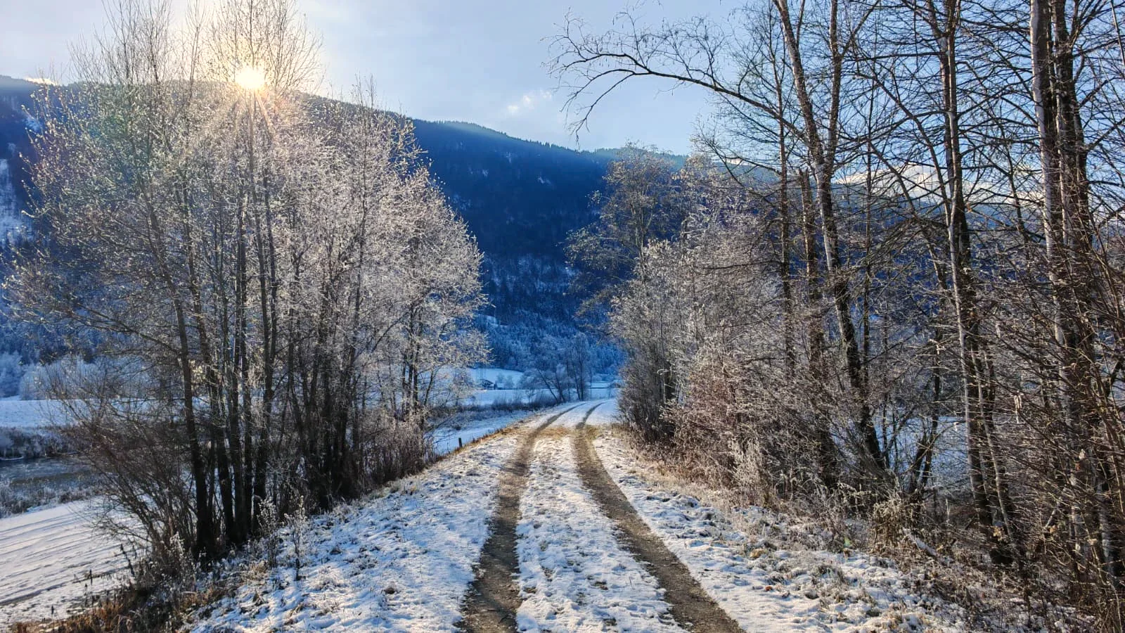 Verschneiter Feldweg zwischen raureifbedeckten Bäumen, dahinter steht die Sonne über dem Hang